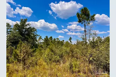 Lot 13 Morgans Branch, Molino, FL 32577 - Photo 14