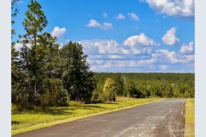 Lot 13 Morgans Branch, Molino, FL 32577 - Photo 1