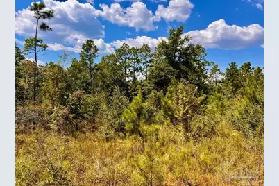 Lot 13 Morgans Branch, Molino, FL 32577 - Photo 16