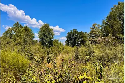 Lot 13 Morgans Branch, Molino, FL 32577 - Photo 12