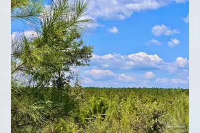 Lot 14 Morgans Branch, Molino, FL 32577 - Photo 22