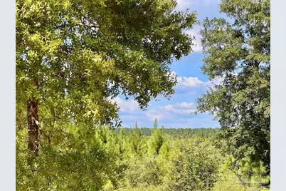 Lot 14 Morgans Branch, Molino, FL 32577 - Photo 10