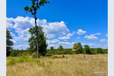 Lot 14 Morgans Branch, Molino, FL 32577 - Photo 1