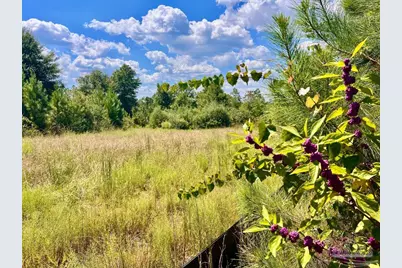 Lot 14 Morgans Branch, Molino, FL 32577 - Photo 12