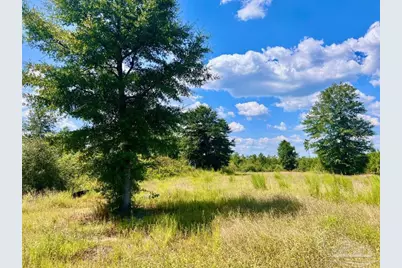 Lot 14 Morgans Branch, Molino, FL 32577 - Photo 2