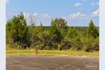 Lot 15 Morgans Branch, Molino, FL 32577 - Photo 8