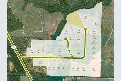 Lot 15 Morgans Branch, Molino, FL 32577 - Photo 4