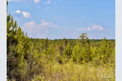 Lot 15 Morgans Branch, Molino, FL 32577 - Photo 12
