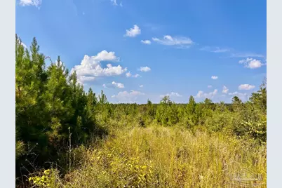 Lot 15 Morgans Branch, Molino, FL 32577 - Photo 14