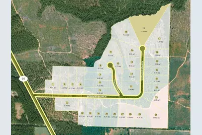 Lot 16 Morgans Branch, Molino, FL 32577 - Photo 4