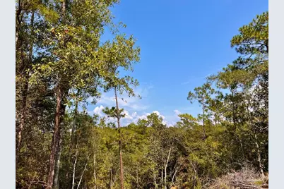 Lot 16 Morgans Branch, Molino, FL 32577 - Photo 18