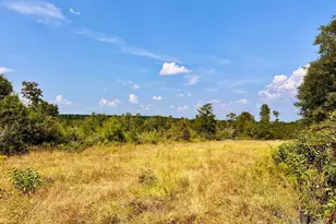 Lot 16 Morgans Branch, Molino, FL 32577 - Photo 1