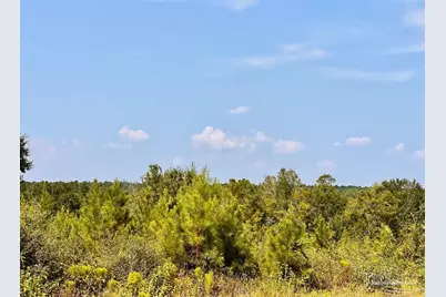 Lot 16 Morgans Branch, Molino, FL 32577 - Photo 12