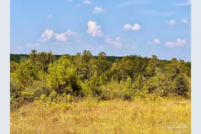 Lot 16 Morgans Branch, Molino, FL 32577 - Photo 2