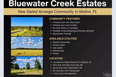 Lot 17 Morgans Branch, Molino, FL 32577 - Photo 16