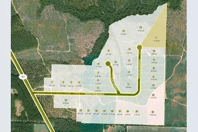 Lot 17 Morgans Branch, Molino, FL 32577 - Photo 4