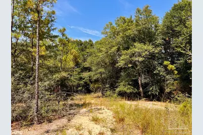 Lot 17 Morgans Branch, Molino, FL 32577 - Photo 10