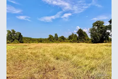 Lot 17 Morgans Branch, Molino, FL 32577 - Photo 1