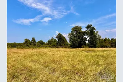 Lot 18 Morgans Branch, Molino, FL 32577 - Photo 8