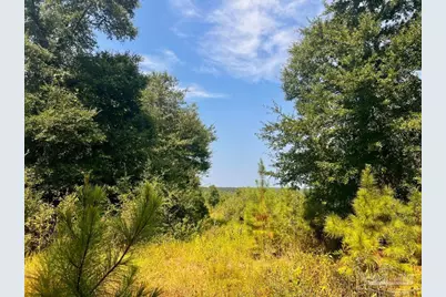 Lot 18 Morgans Branch, Molino, FL 32577 - Photo 2