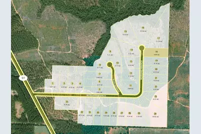 Lot 18 Morgans Branch, Molino, FL 32577 - Photo 4