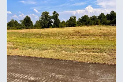 Lot 18 Morgans Branch, Molino, FL 32577 - Photo 10