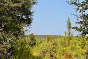 Lot 18 Morgans Branch, Molino, FL 32577 - Photo 1