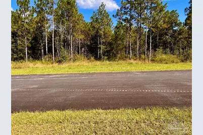 Lot 19 Morgans Branch, Molino, FL 32577 - Photo 28