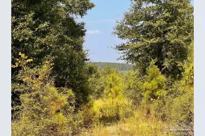 Lot 19 Morgans Branch, Molino, FL 32577 - Photo 2