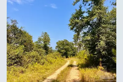 Lot 19 Morgans Branch, Molino, FL 32577 - Photo 8