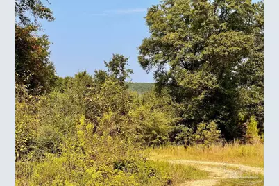 Lot 19 Morgans Branch, Molino, FL 32577 - Photo 12