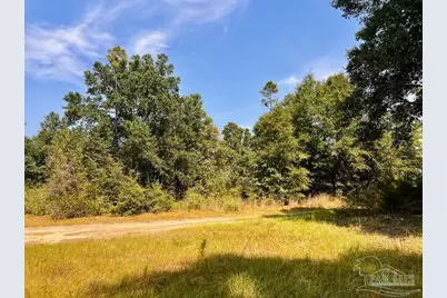 Lot 19 Morgans Branch, Molino, FL 32577 - Photo 20