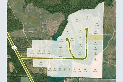 Lot 19 Morgans Branch, Molino, FL 32577 - Photo 4