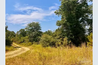 Lot 19 Morgans Branch, Molino, FL 32577 - Photo 14