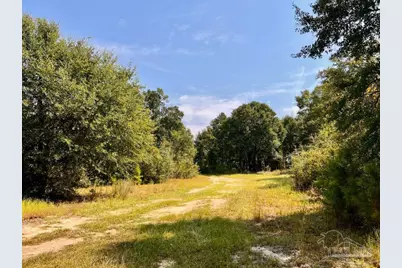 Lot 19 Morgans Branch, Molino, FL 32577 - Photo 24