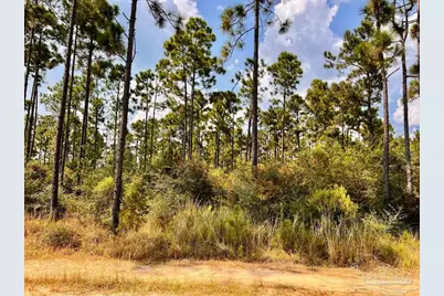 Lot 23 Morgans Branch, Molino, FL 32577 - Photo 12