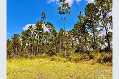 Lot 23 Morgans Branch, Molino, FL 32577 - Photo 6