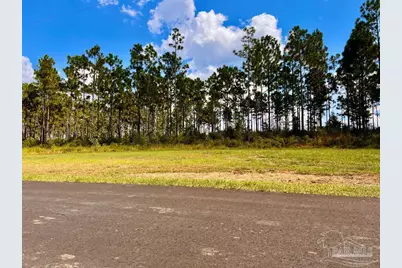 Lot 23 Morgans Branch, Molino, FL 32577 - Photo 18