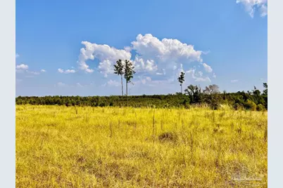Lot 23 Morgans Branch, Molino, FL 32577 - Photo 8