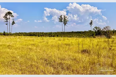 Lot 23 Morgans Branch, Molino, FL 32577 - Photo 2