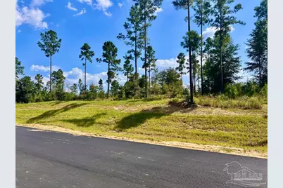 Lot 33 Morgans Branch, Molino, FL 32577 - Photo 8
