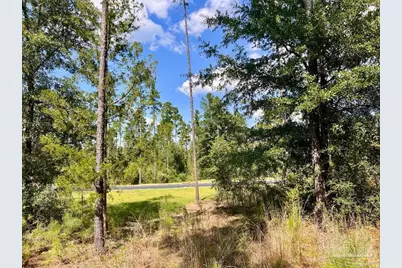 Lot 33 Morgans Branch, Molino, FL 32577 - Photo 2