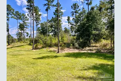 Lot 33 Morgans Branch, Molino, FL 32577 - Photo 1