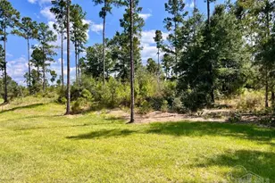 Lot 33 Morgans Branch, Molino, FL 32577 - Photo 1