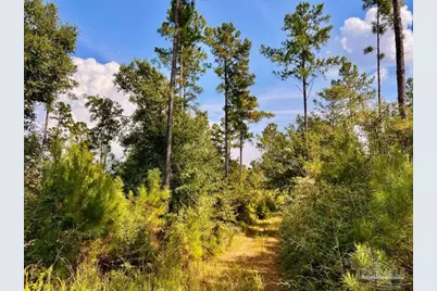 Lot 33 Morgans Branch, Molino, FL 32577 - Photo 10