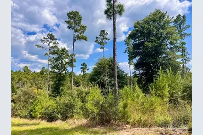 Lot 31 Morgans Branch, Molino, FL 32577 - Photo 8