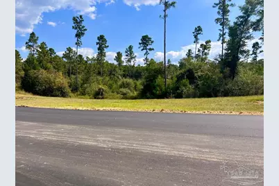 Lot 31 Morgans Branch, Molino, FL 32577 - Photo 2