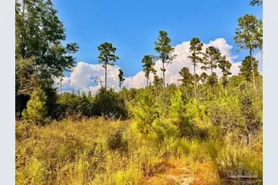 Lot 31 Morgans Branch, Molino, FL 32577 - Photo 10