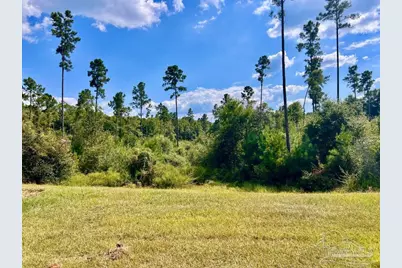 Lot 31 Morgans Branch, Molino, FL 32577 - Photo 1