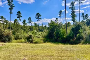 Lot 31 Morgans Branch, Molino, FL 32577 - Photo 1